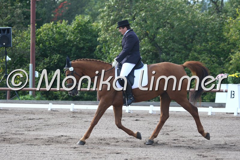 009M0283_Witch of Georg_Dressur A.JPG